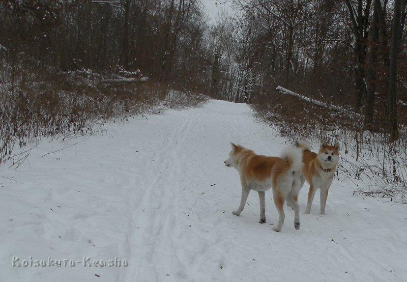 DSCN4329a.JPG - Makiko und Harumi in Nürnberg 2010