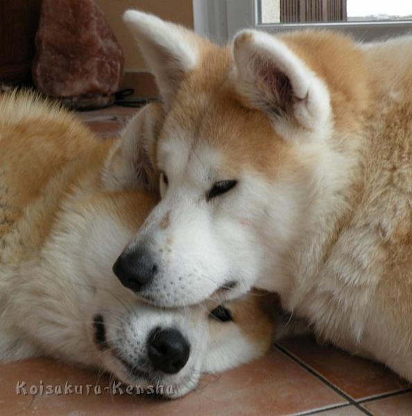 DSCN4739-1a.JPG - Harumi und Makiko