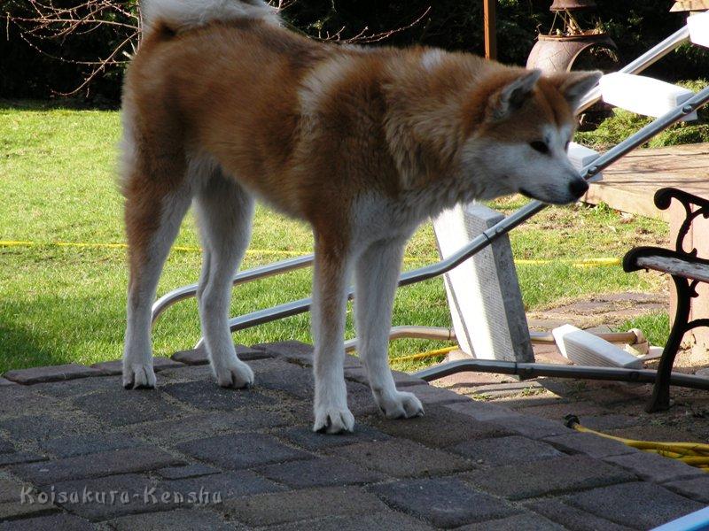 DSCN4886a.JPG - Harumi, Sommer 2010