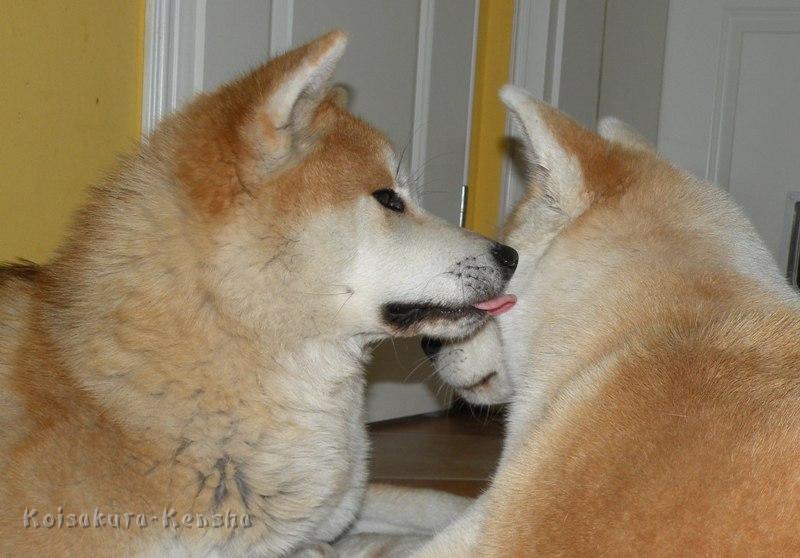 DSCN5052a.JPG - Harumi und Makiko, 2010