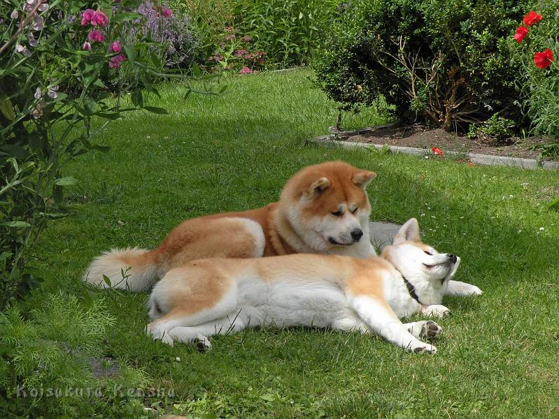 DSCN5432.jpg - Harumi mit Akashio, Juni 2012