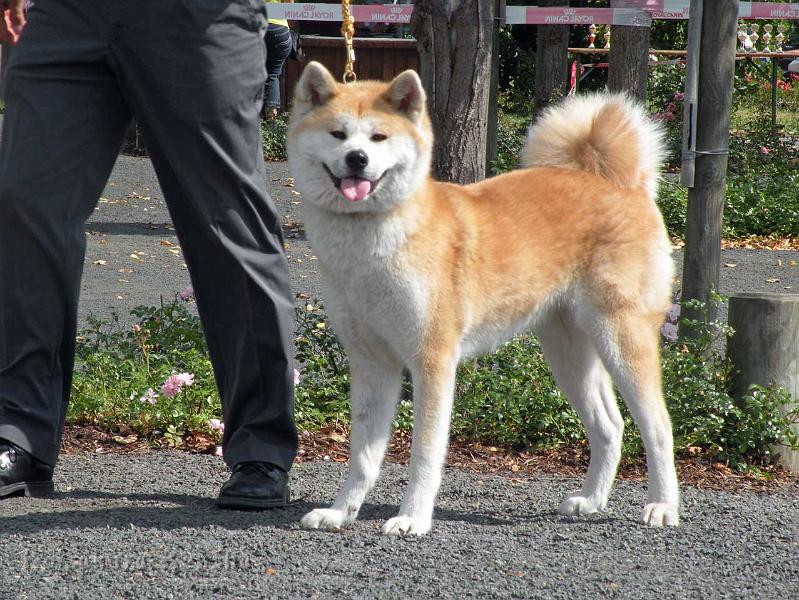 DSCN5890.jpg - Harumi in Geithain, August 2012