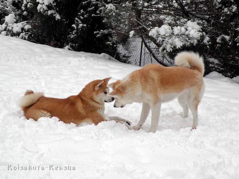 DSCN7368.jpg - Harumi und Makiko, Dezember 2010