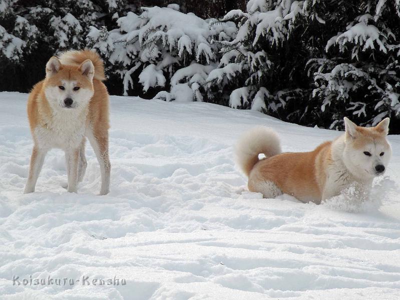 DSCN7517.jpg - Harumi und Makiko, Dezember 2010