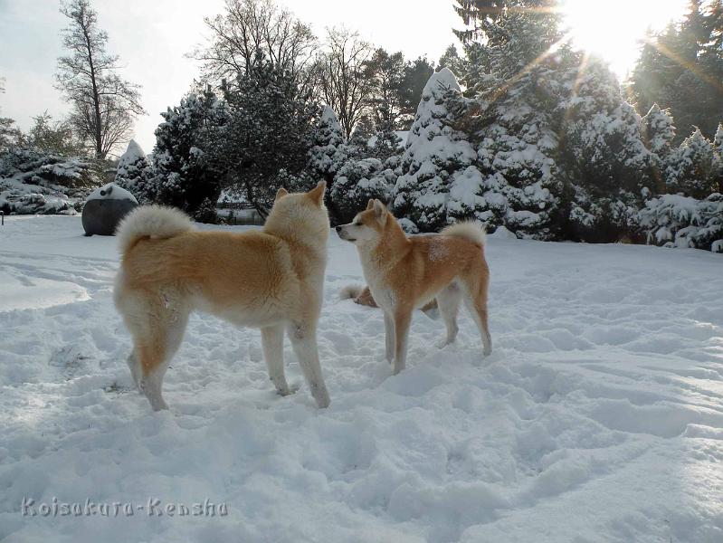 DSCN7553.jpg - Harumi mit Chikoo und Makiko im Dezember 2010