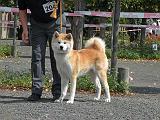 DSCN5889