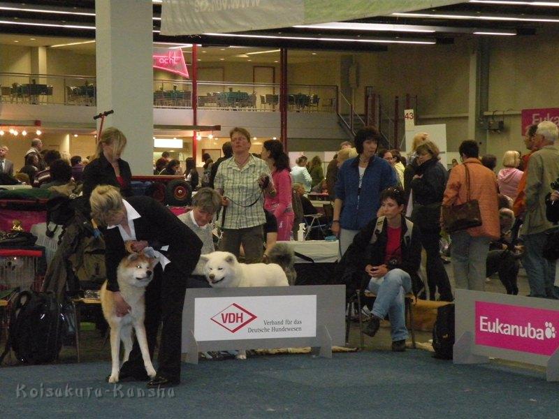 DSCN5072a.JPG - Dortmund-09-05-2010