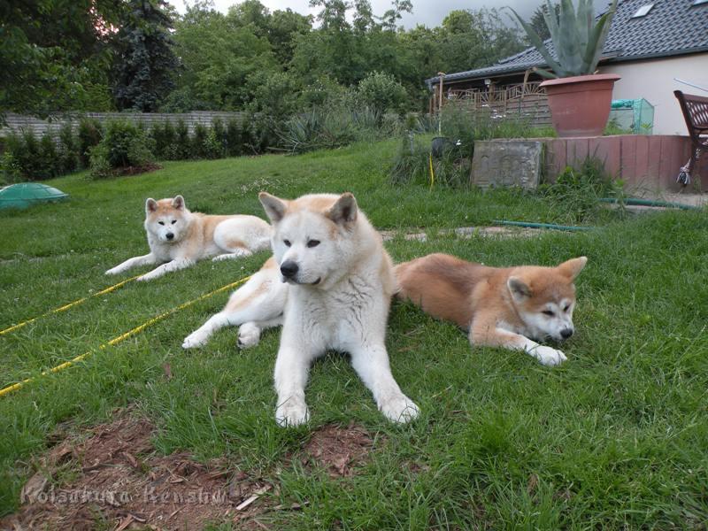 DSCN3076a.JPG - Chikoo mit Makiko und Harumi, Juni 2009