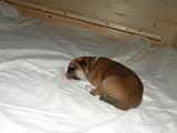 DSCN1029