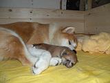 DSCN1118_6.Tag