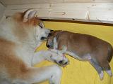 DSCN1210_10.Tag