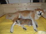 DSCN1369_14.Tag