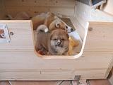 DSCN1440_3Wo