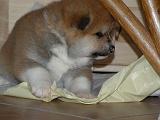 DSCN1446-3Wo
