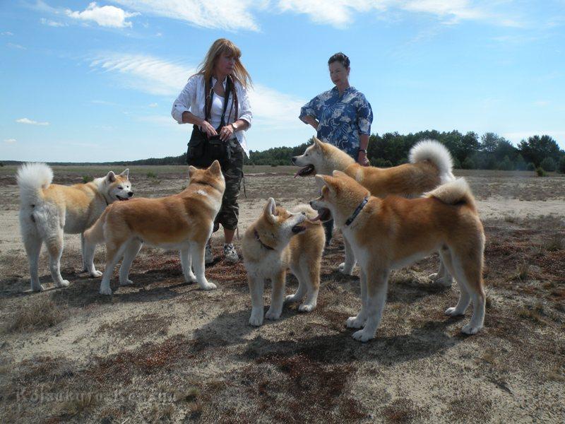 DSCN2803a.JPG - vorne rechts:Akashio; von links: Makiko, Koi, Harumi und Chikoo 
