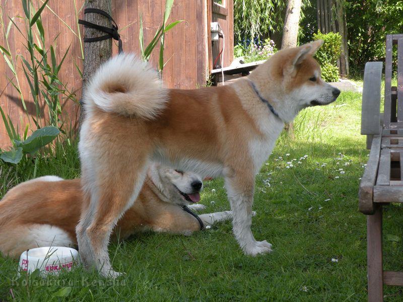 DSCN2855a.JPG - Akashio