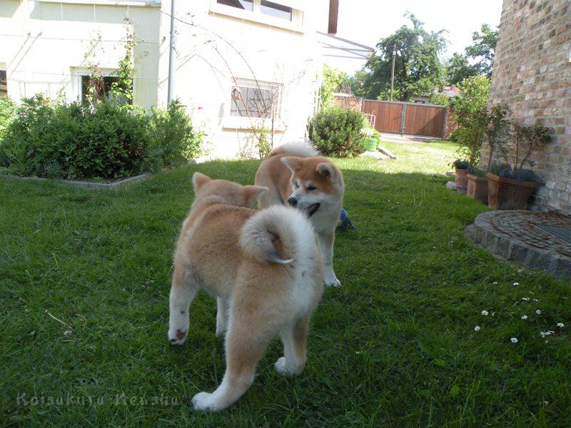 DSCN2939a.JPG - Akashio und Harumi
