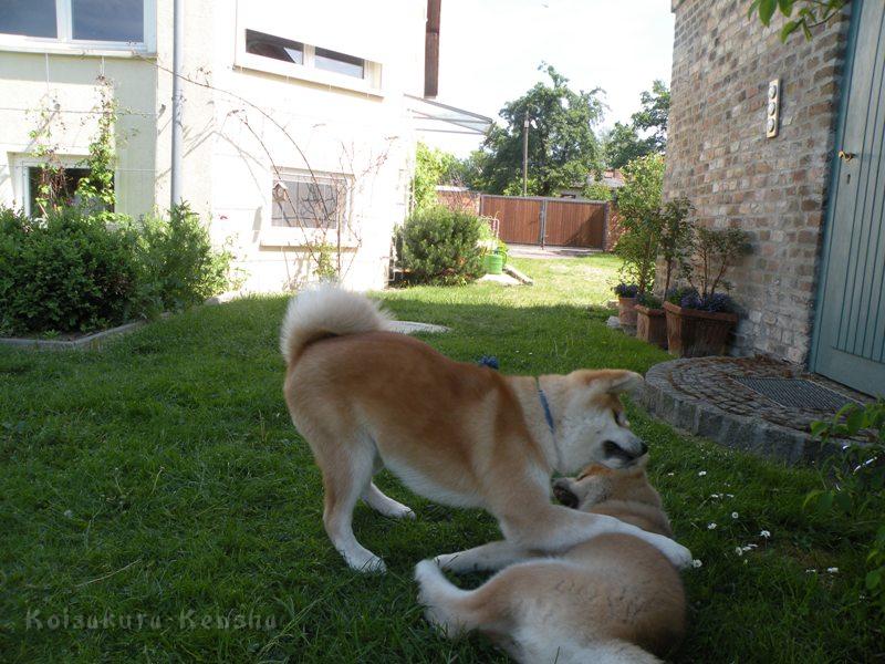 DSCN2940a.JPG - Akashio und Harumi
