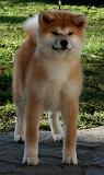 Sayuri-12Wo