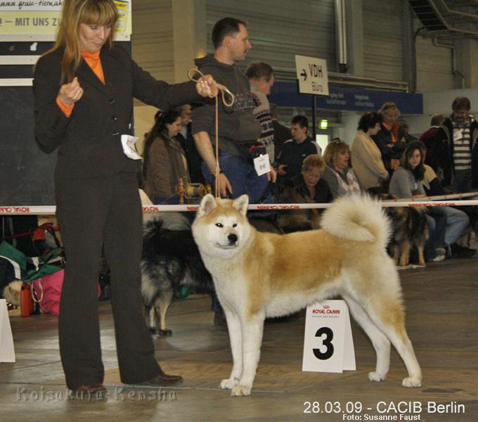 IMG_0628a-a.jpg - 42. Internationalen Rassehunde-Ausstellung in Berlin am 28.03.2009
