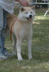 Makiko's Gro�mutter AKIOO