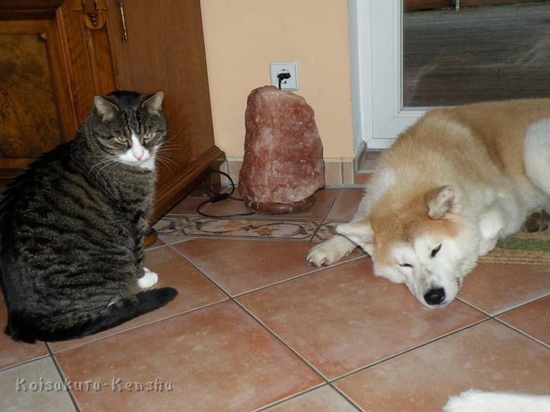 DSCN0605.JPG - Makiko mit Oskar