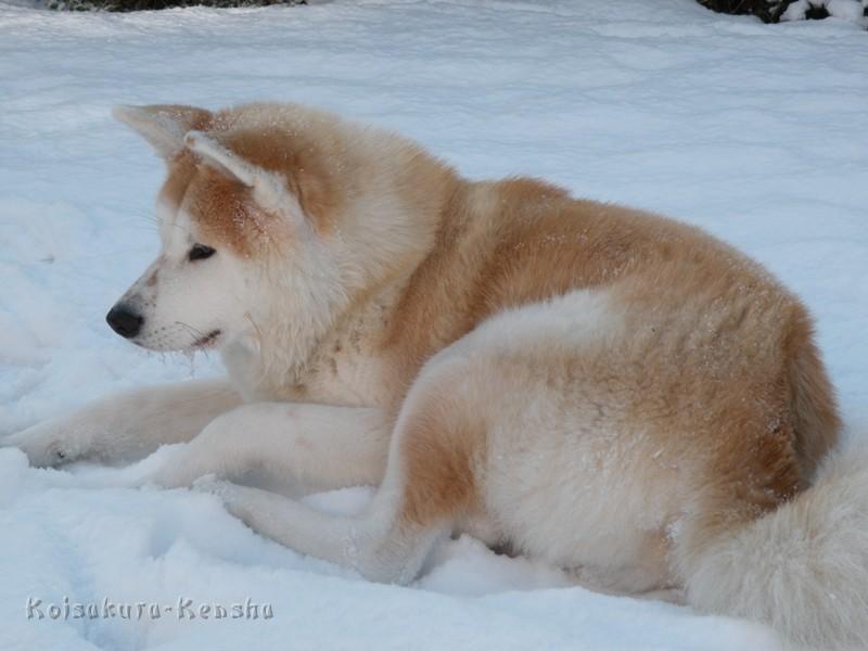 DSCN0647.JPG - Makiko, 10 Monate