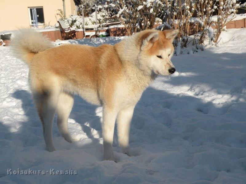 DSCN0664.JPG - Makiko, 10 Monate