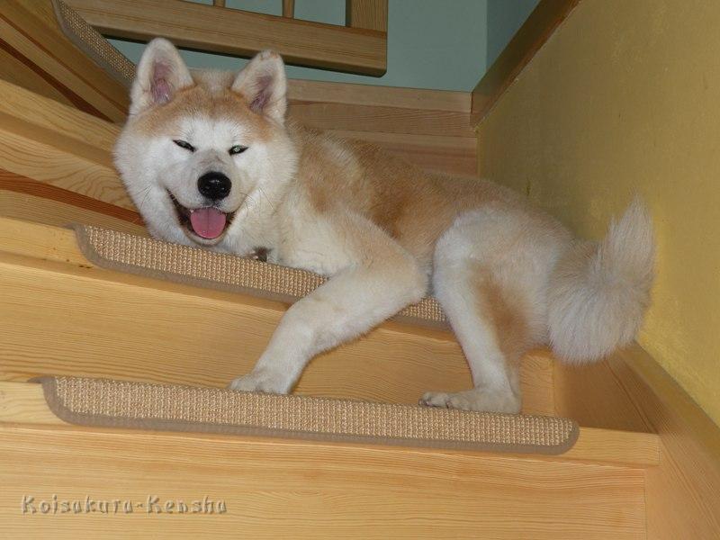 DSCN0910.JPG - Makiko auf der Treppe