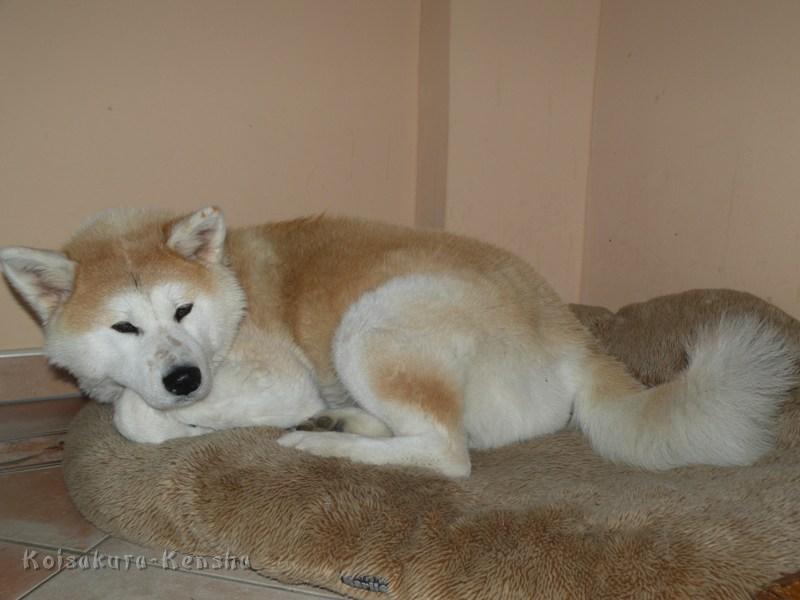 DSCN2242-12Mon.JPG - Makiko, 12 Monate