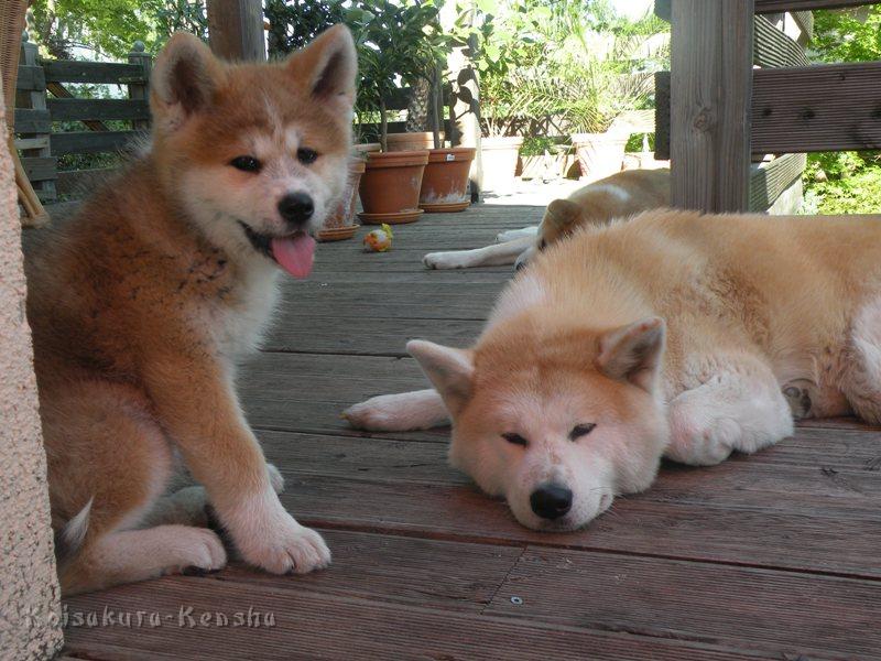 DSCN2550a.JPG - Makiko und Harumi