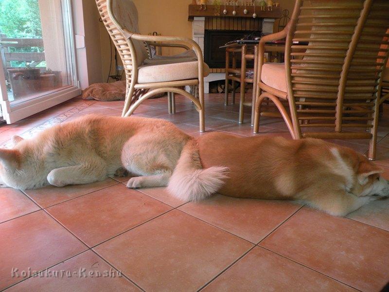 DSCN2621a.JPG - Makiko und Koi