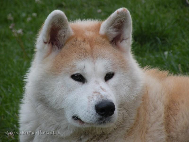 DSCN3079a.JPG - Makiko, 1 Jahr und 4 Monate