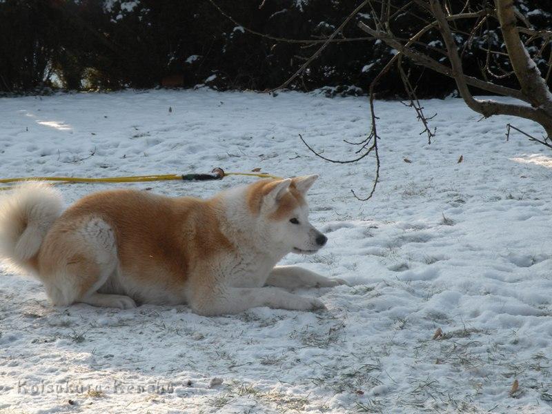 DSCN4053a.JPG - Makiko, 20 Monate