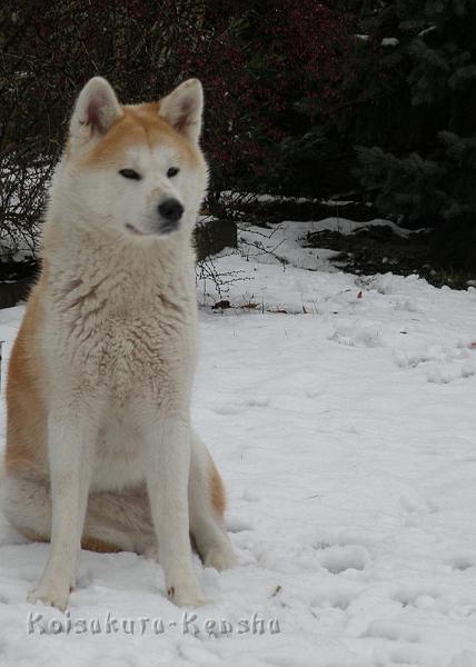 DSCN4121a.JPG - Makiko, 20 Monate