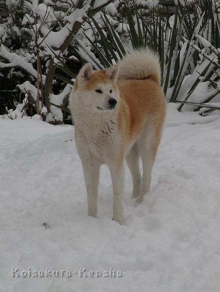 DSCN4183a.JPG - Makiko, Dezember 2009