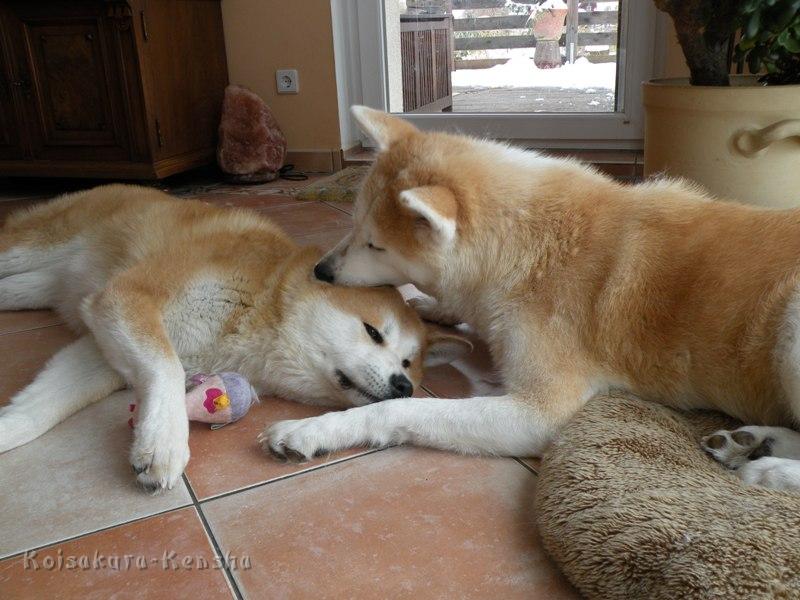 DSCN4735a.JPG - Makiko und Harumi