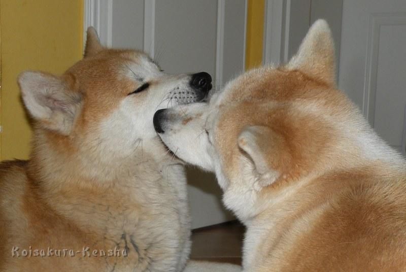 DSCN5053a.JPG - Makiko und Harumi, 2010