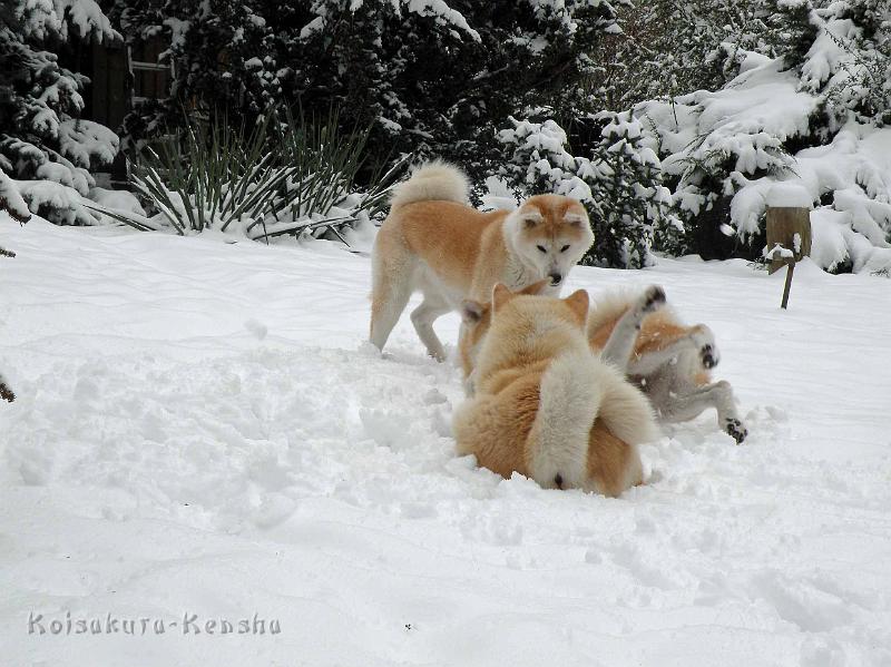 DSCN7310.jpg - Makiko mit Chikoo und Harumi, Dezember 2010