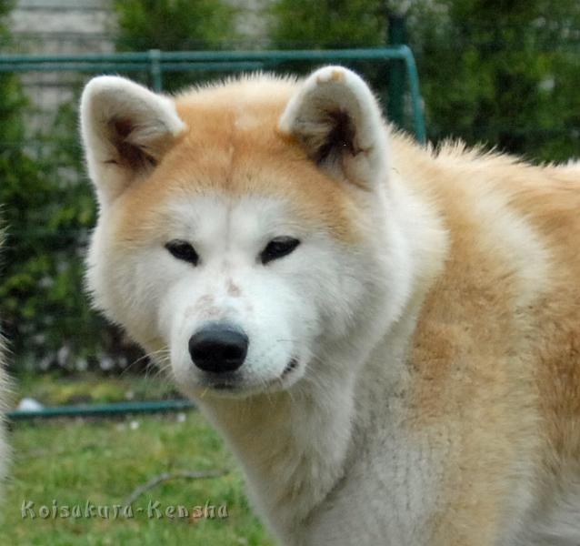 DSC_1458a.jpg - Makiko, 12 Monate