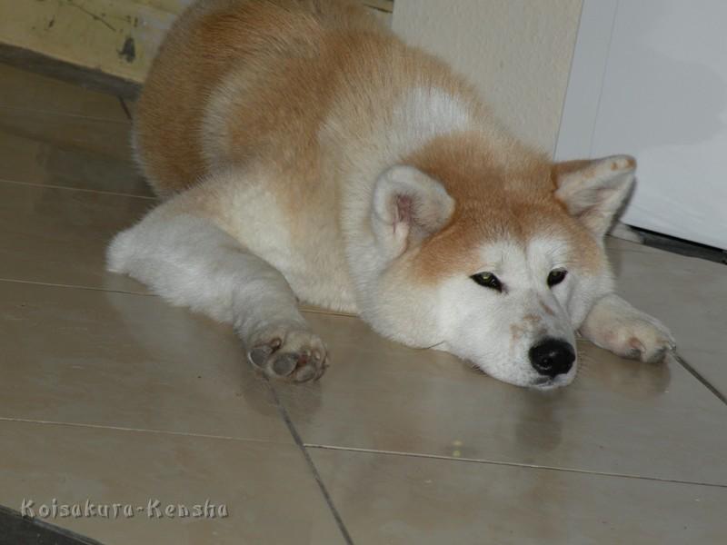 Makiko-10Monate.JPG - Makiko, 10 Monate