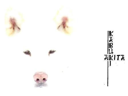 Akita-Kabuki